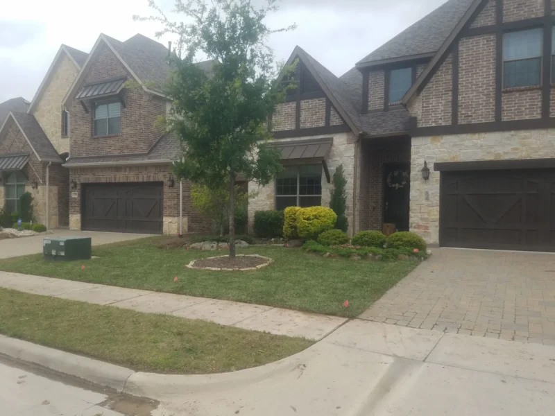 After sod installation: front lawn refresh