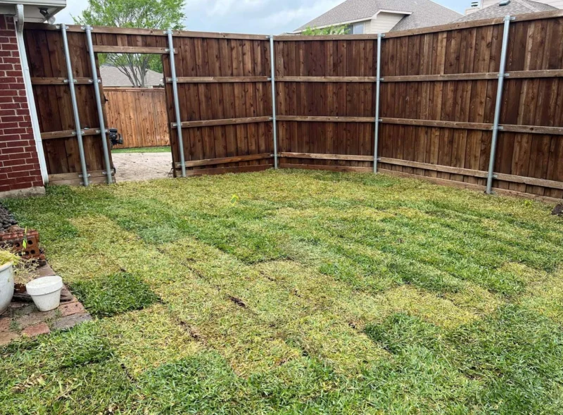 After sod installation: enclosed backyard lawn