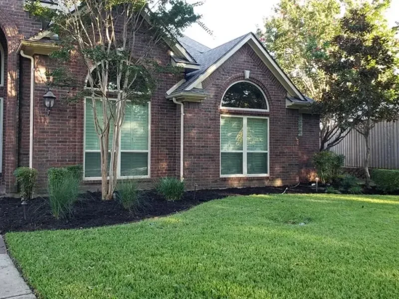 Arched window front garden refresh: project view, view 2