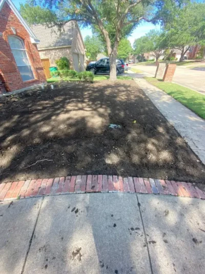 Arched window shaded front lawn: site preparation, view 1