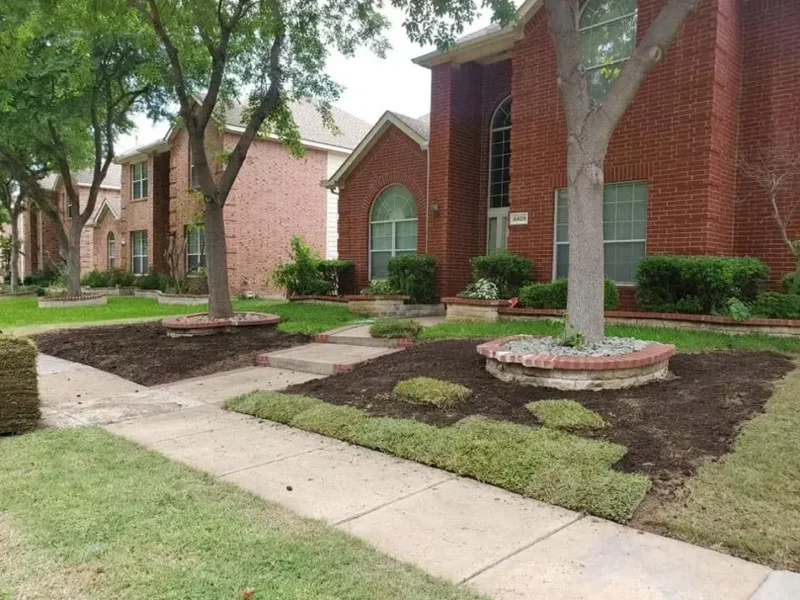 Brick tree border front lawn: before work, view 1