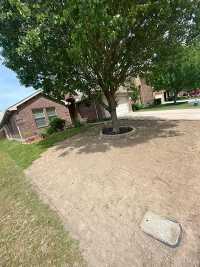 Circular tree border front lawn: before work, view 1