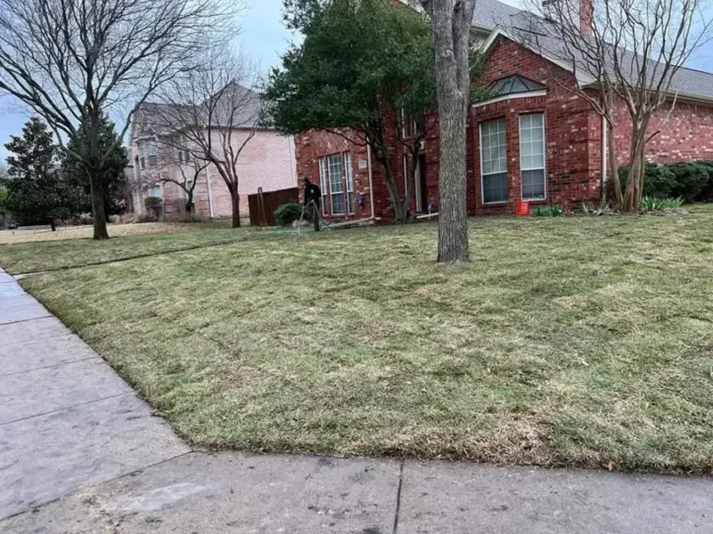 Corner brick home lawn transformation: project view, view 6