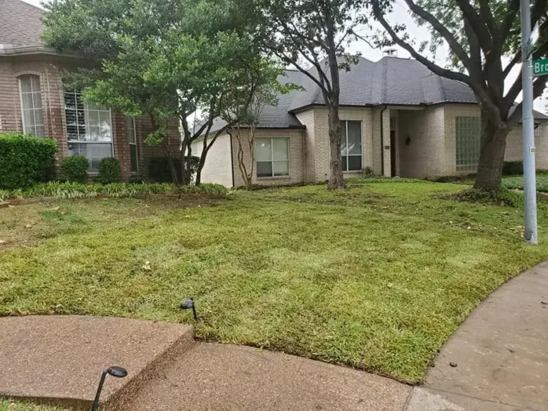 Corner home lawn replacement: project view, view 2