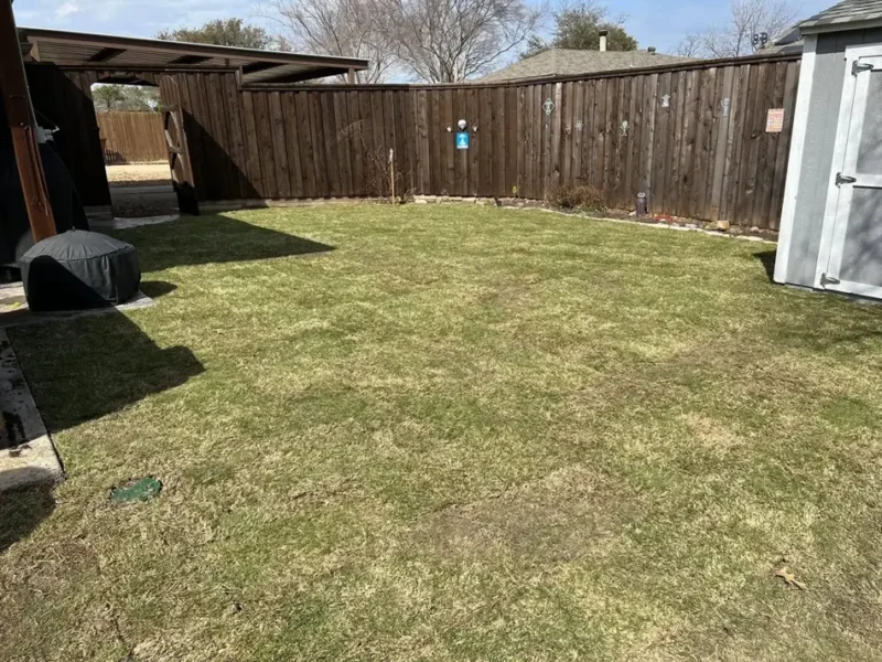 Decorated fence backyard and hot tub lawn: project view, view 4