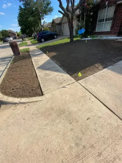Front lawn around swing tree: before work, view 1