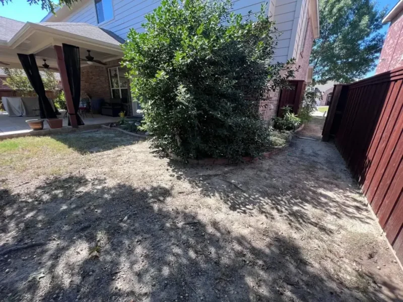Magnolia garden stepping stone path: before work, view 1