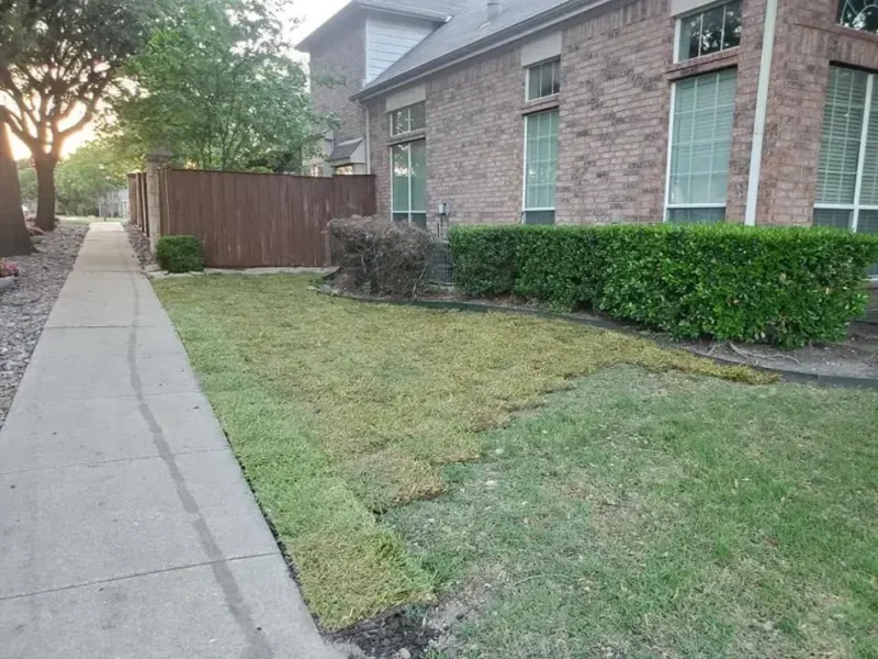 Narrow townhouse side lawn: project view, view 2