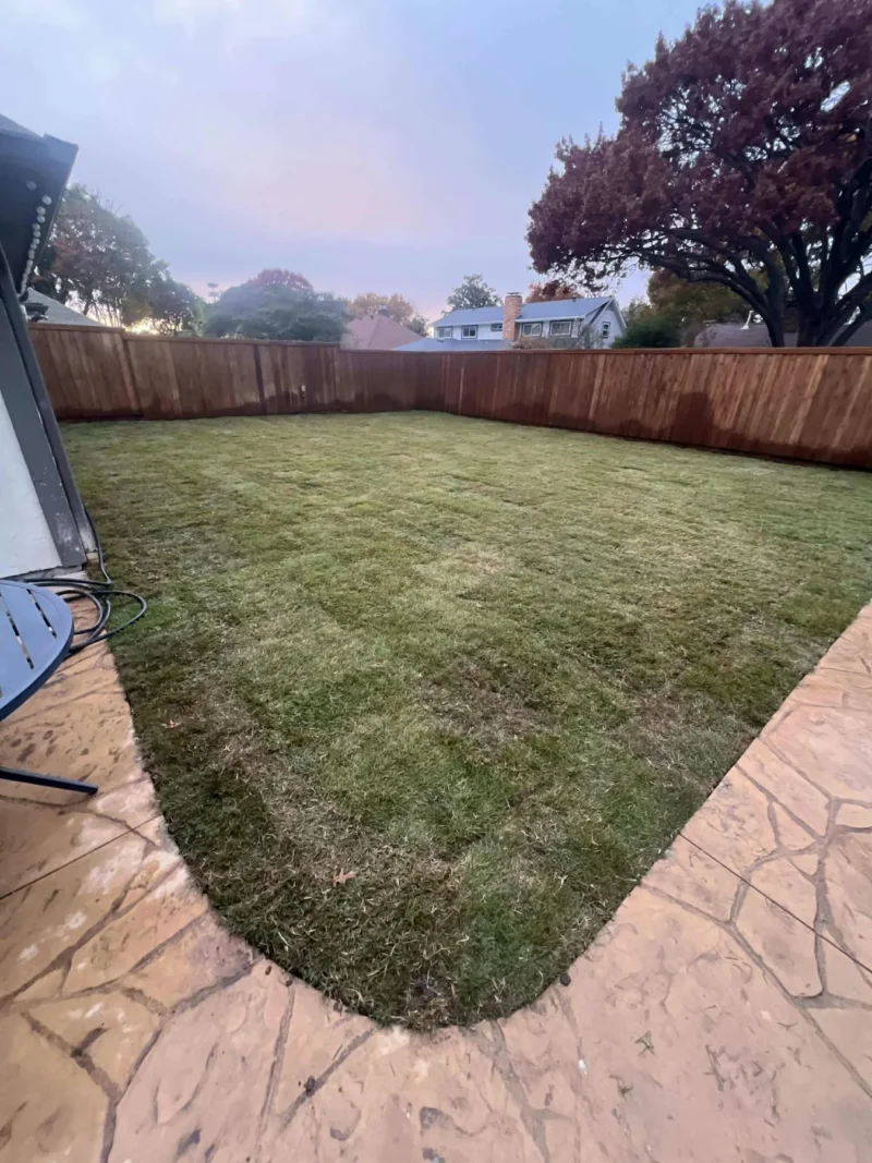 The new lawn across the former pool area