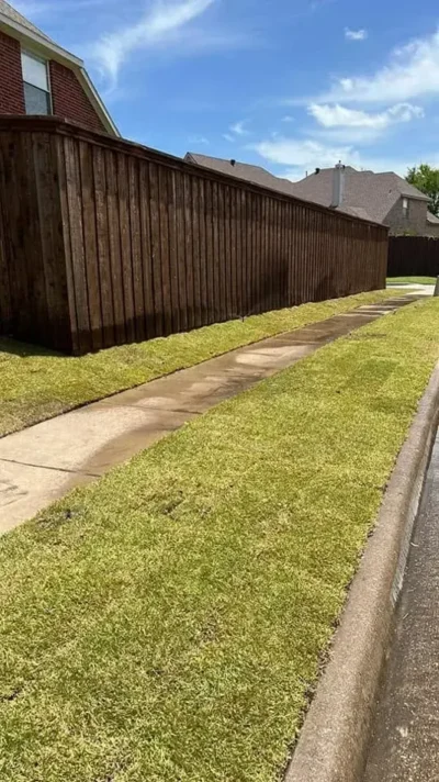 Roadside fence lawn: project view, view 1