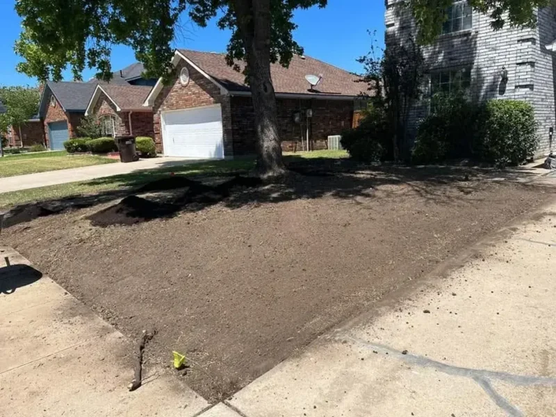 White brick home front lawn: before work, view 1
