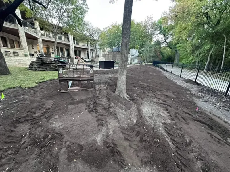 Wooded backyard lawn transformation: site preparation, view 2