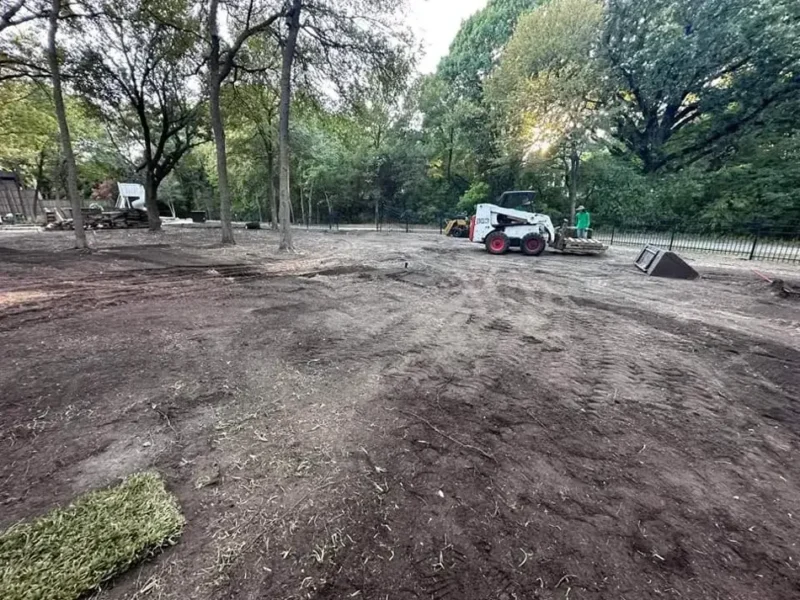 Wooded backyard lawn transformation: site preparation, view 3