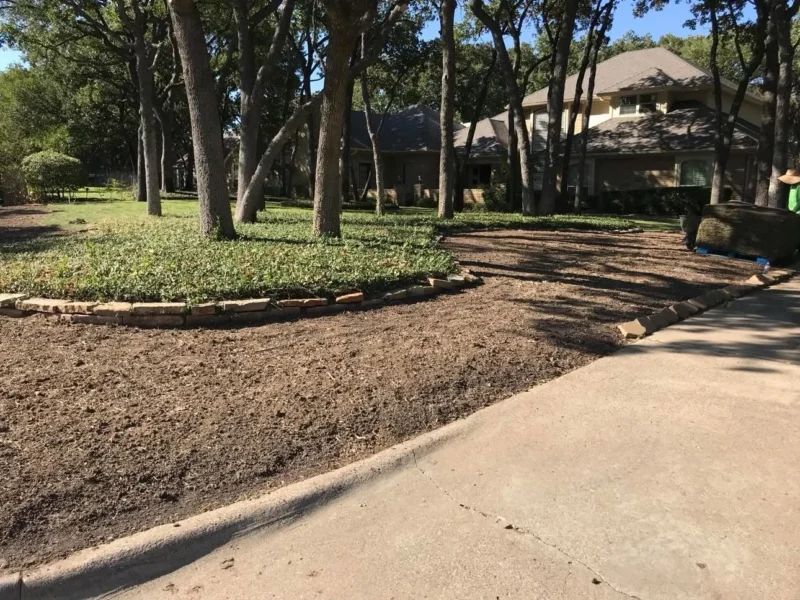 Wooded front lawn sod installation: prepared soil, view 1