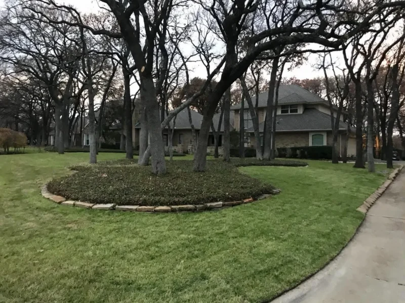 Wooded front lawn sod installation: new sod, view 2