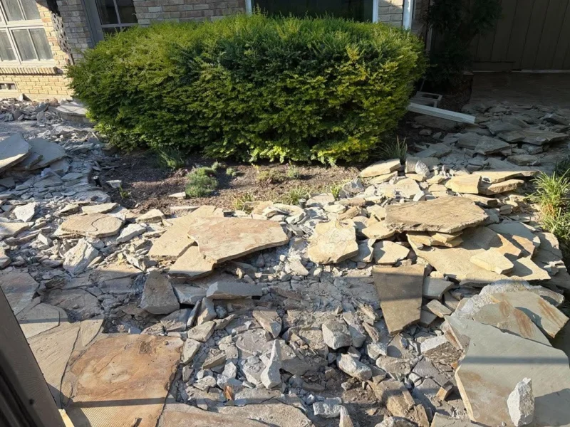 Patio removal around existing hedges