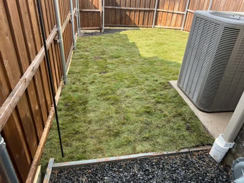 Side yard sod around ac unit