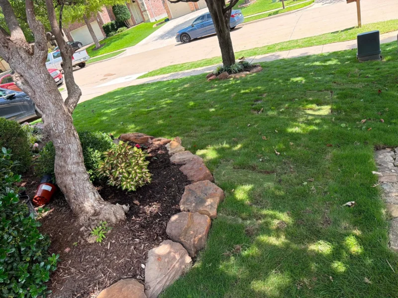 Sod installed around stone tree rings