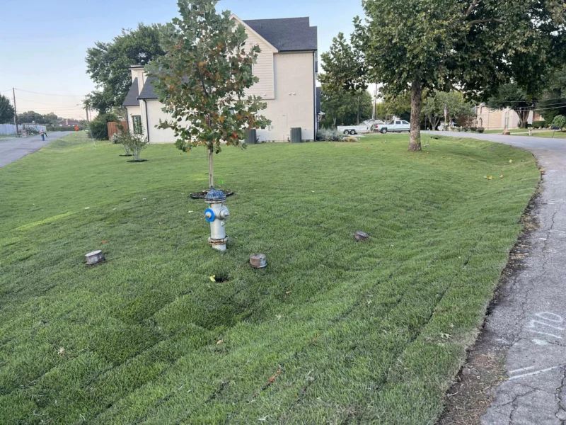 Sod across a large corner lawn