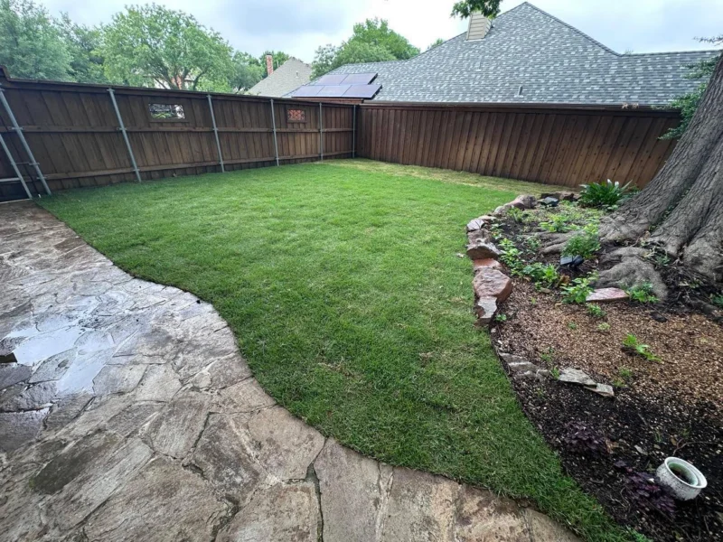 Sod lawn with stone tree border
