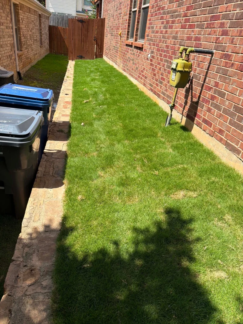 Sod installed in a narrow side yard