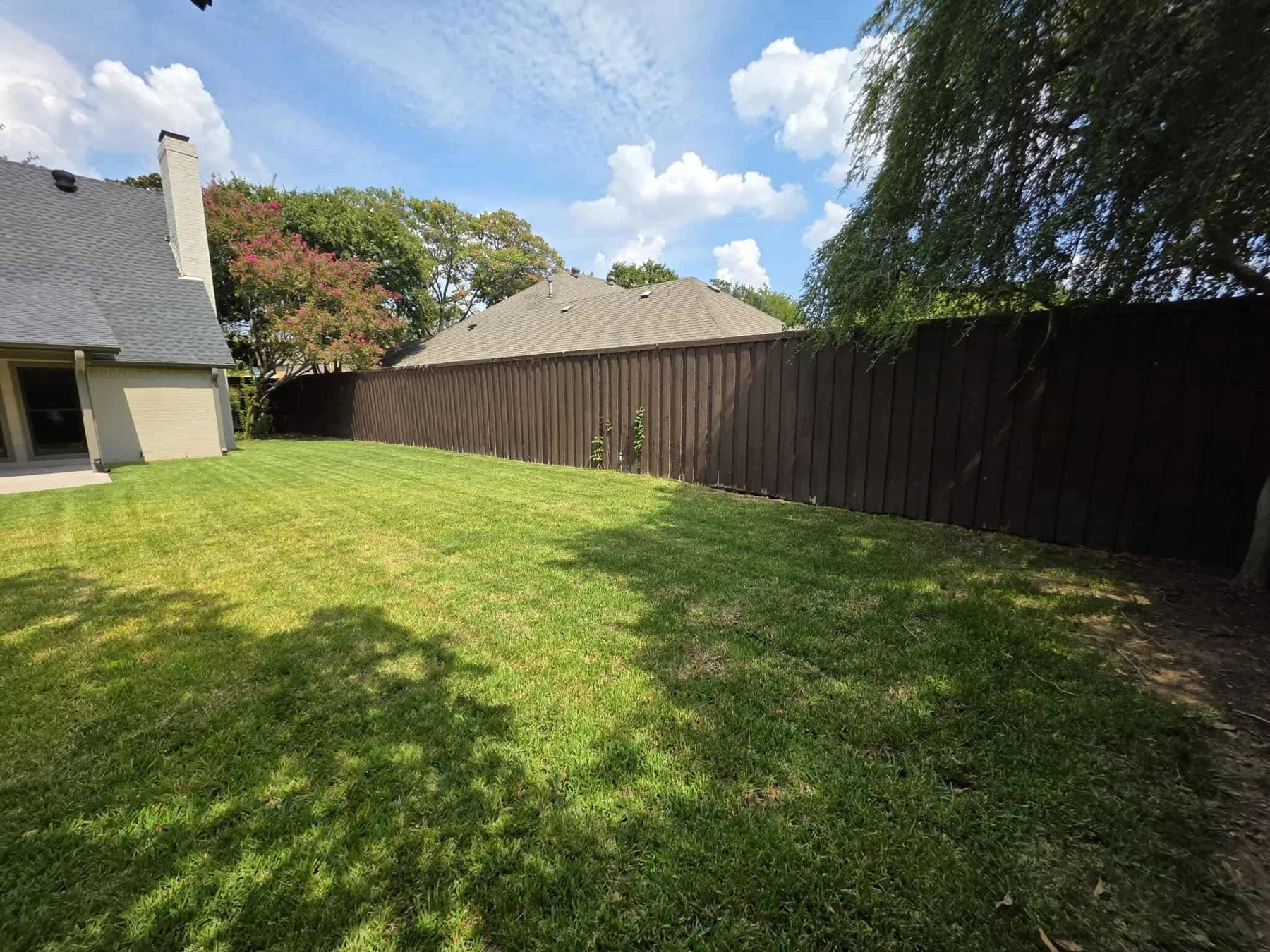 Plano pool removal project: finished lawn, view 1