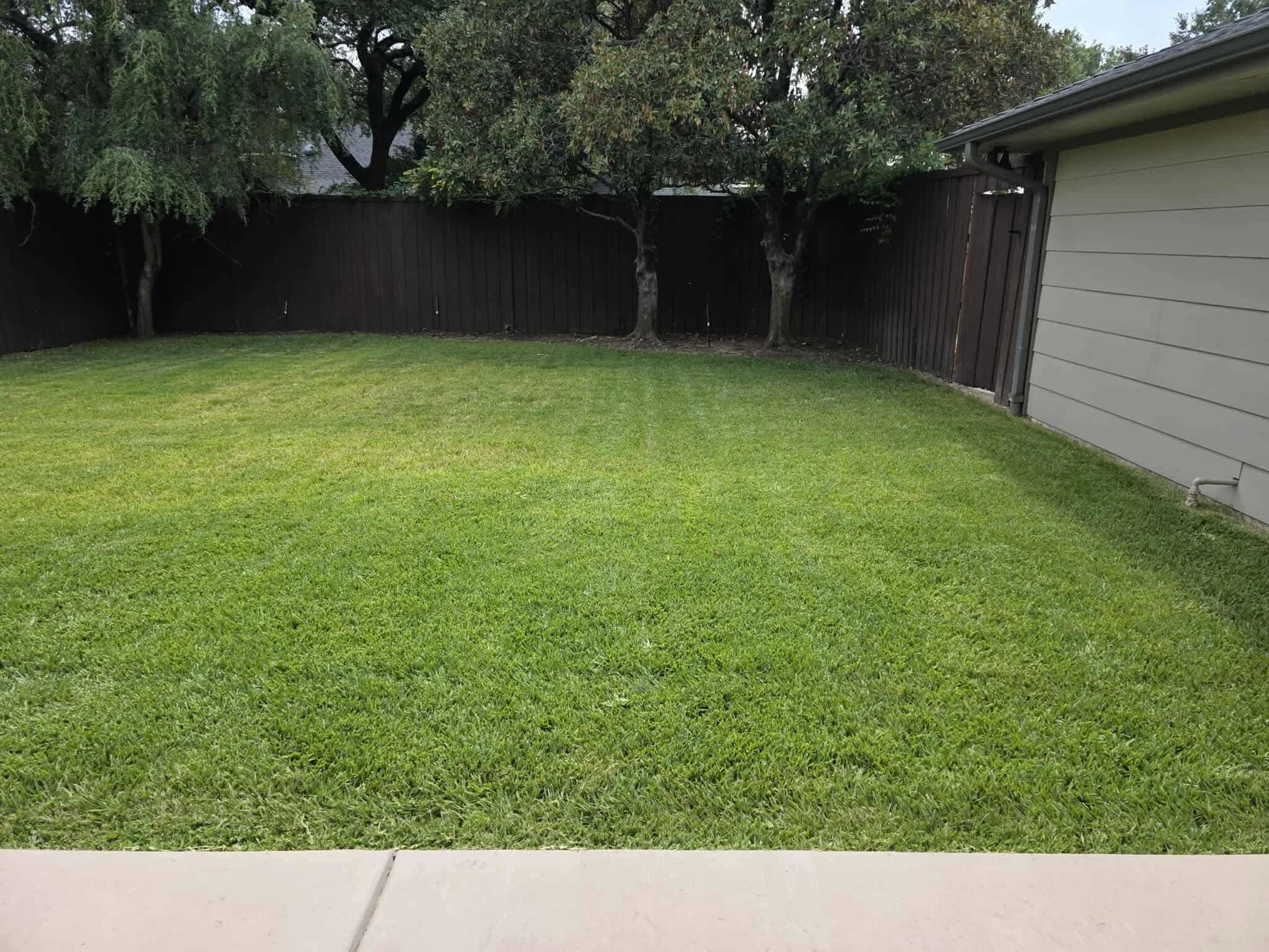 Plano pool removal project: finished lawn, view 4