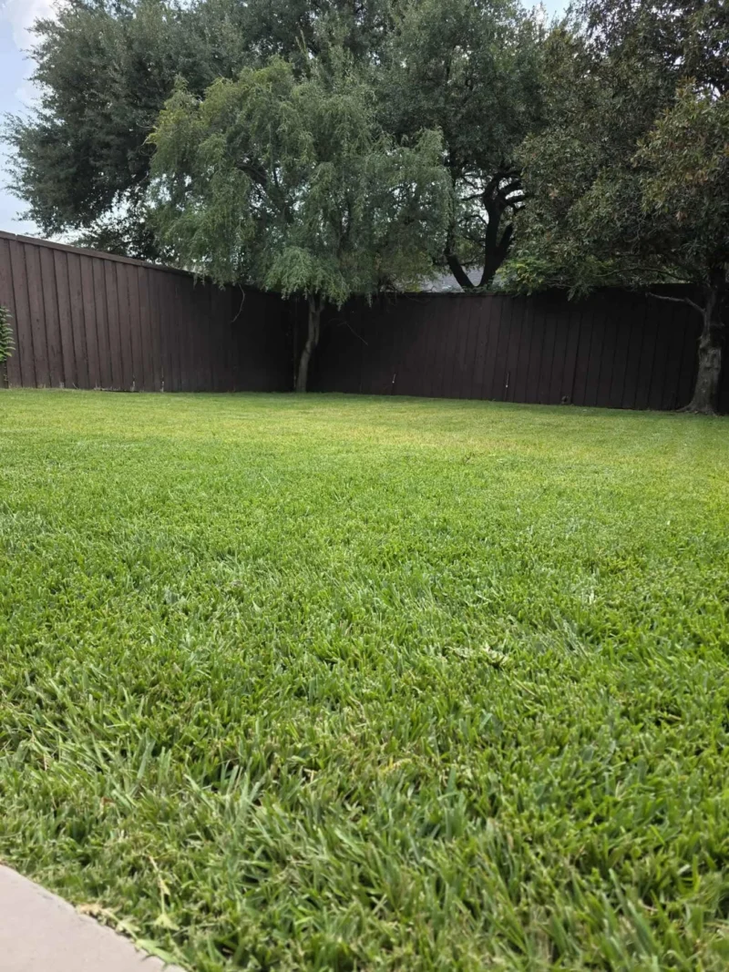 Plano pool removal project: finished lawn, view 5