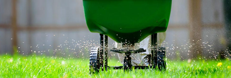Fertilization Services in Plano, Texas and the Greater Collin County ...
