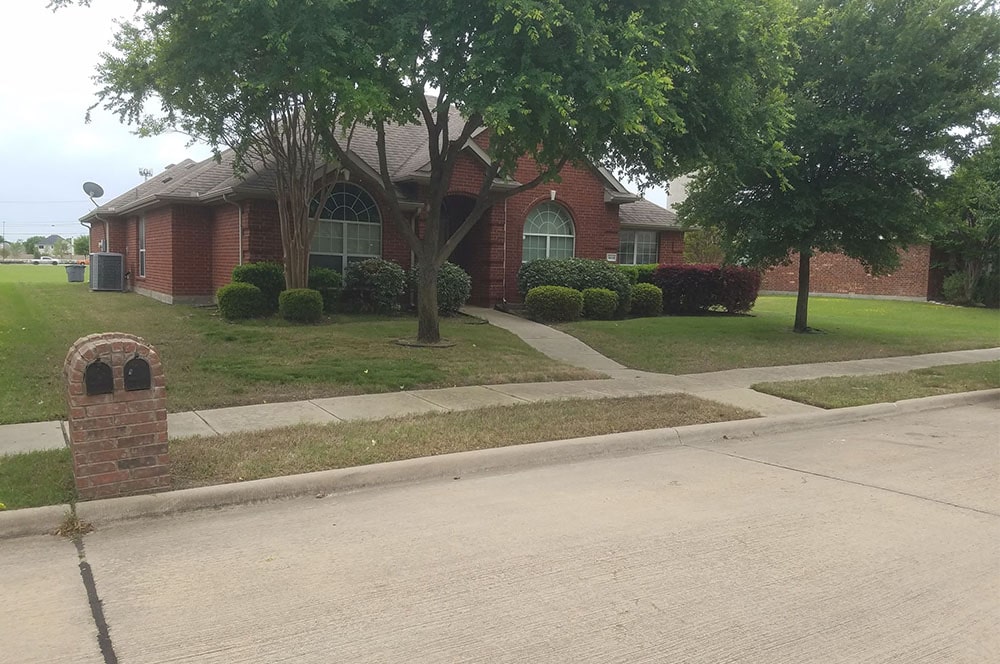 Plano Lawn Care, SOD Installation, and Tree Services Company Plano