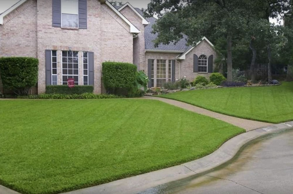 Plano Lawn Care, SOD Installation, and Tree Services Company Plano