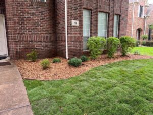 Fresh sod beside a curved Benda Board flowerbed with mulch and new plants